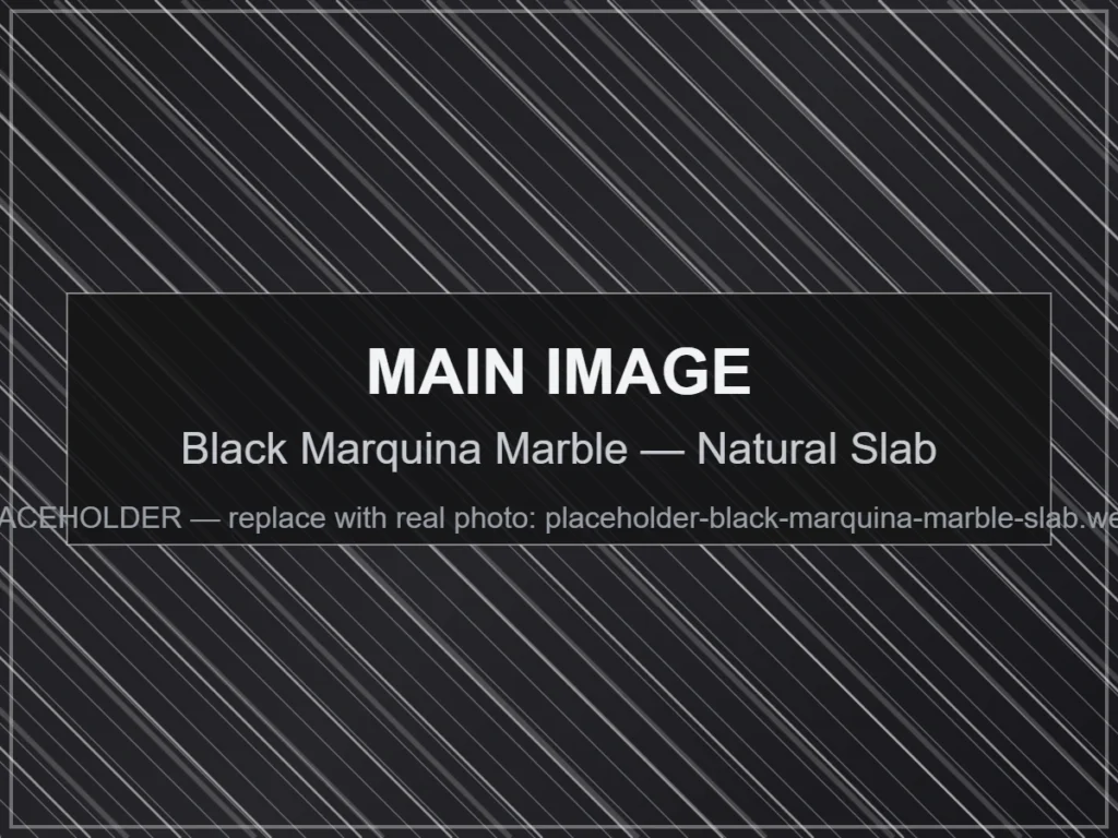 Black Marquina Marble — Natural Slab natural marble slab