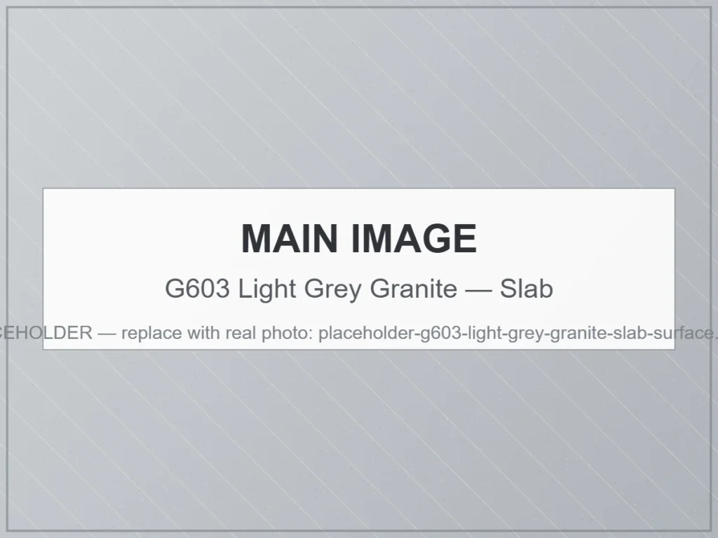G603 Light Grey Granite — Slab natural granite stone